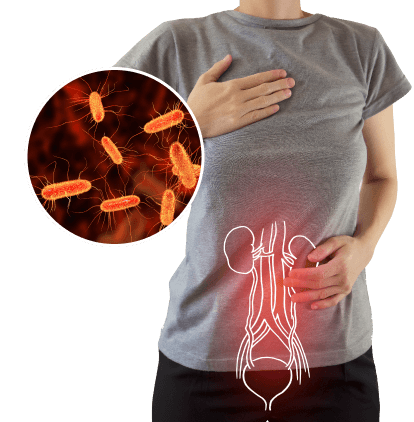 CystiNorm no ofrece ninguna posibilidad de infección.